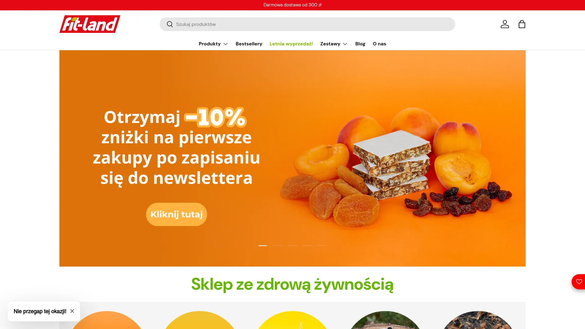 Zrzut ekranu strony FIT-LAND sp. z o.o.