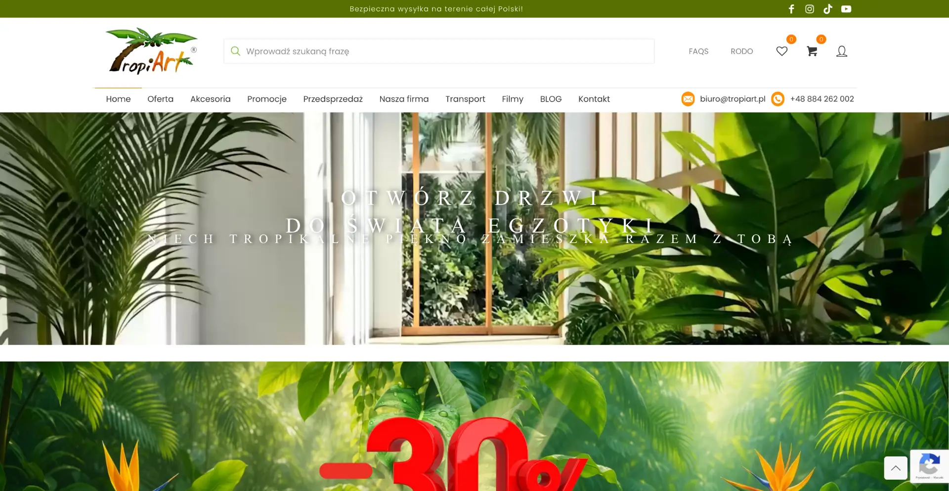 Zrzut ekranu strony TROPIART